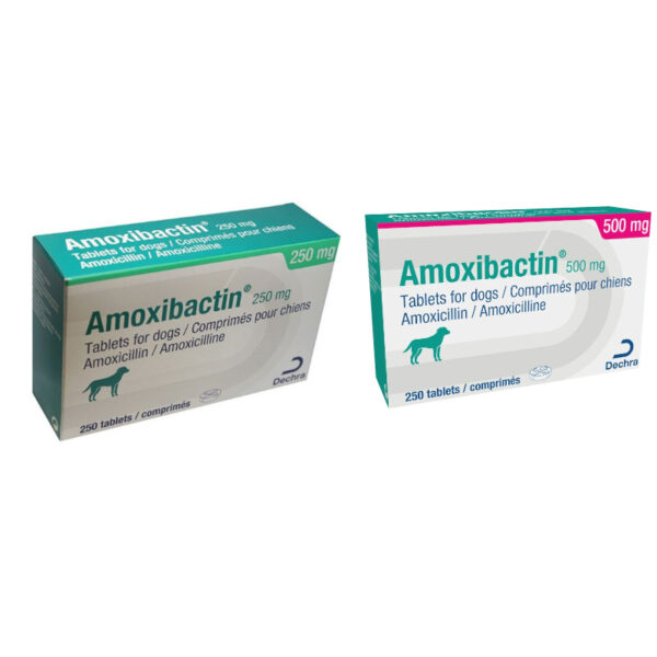 Amoxibactin