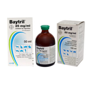 Baytril Solution for Injection Dogs