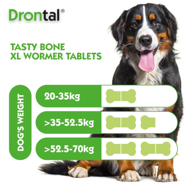 Drontal Dog Tasty Bone XL Wormer