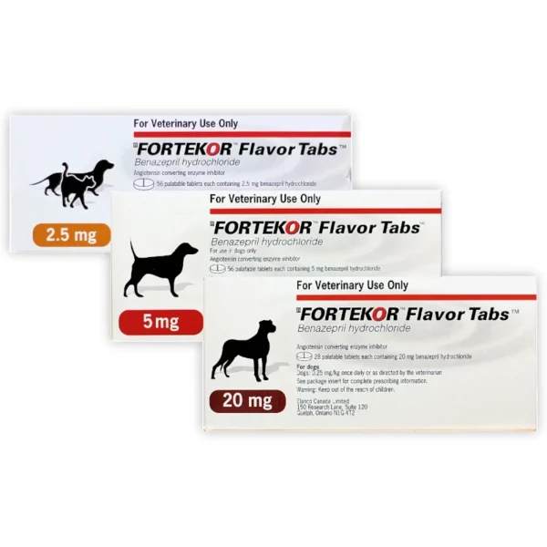 Fortekor flavor Tablets