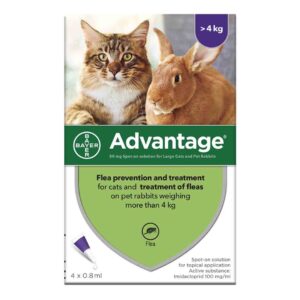 Advantage Spot-on Solution for Large Cats Rabbits