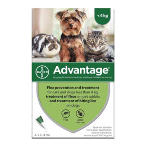 Advantage 40 Spot-on Solution for Cats Dogs Rabbits