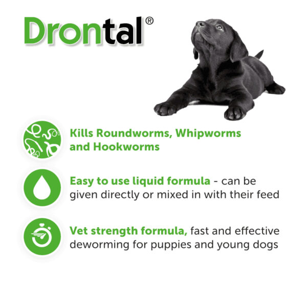 Drontal for Puppy Suspension