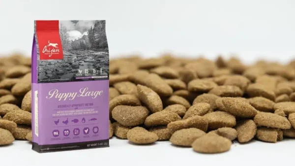 ORIJEN Puppy Large Dry Dog Food