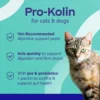 Protexin Pro-Kolin Advanced Digestive Support for Cats