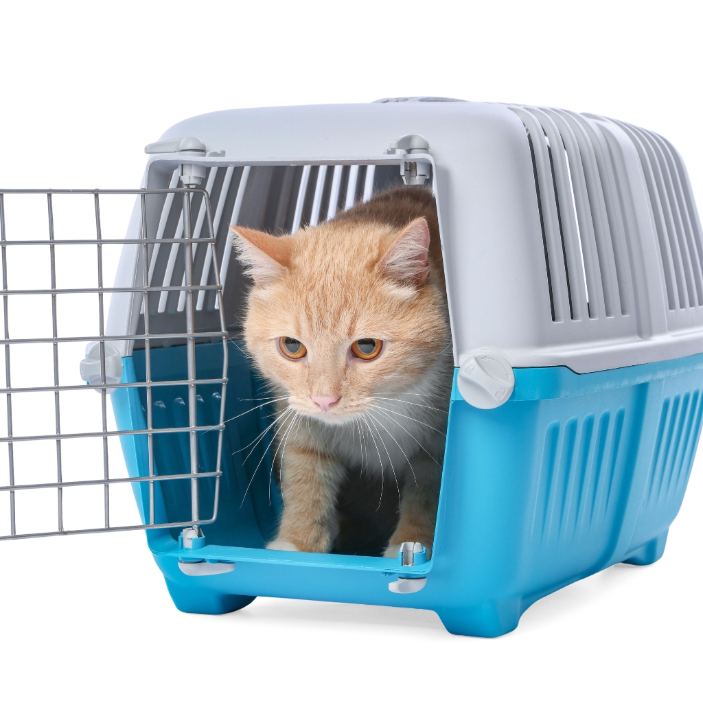 Cat carrier