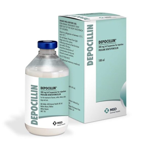 Depocillin injection for animals