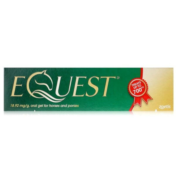 Equest oral gel for horses and ponies