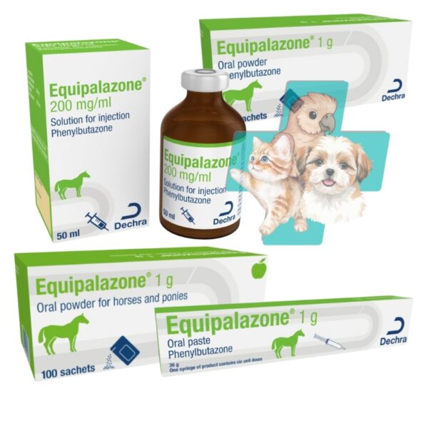 Equipalazone for horses and ponies