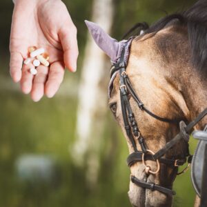 Horse supplements