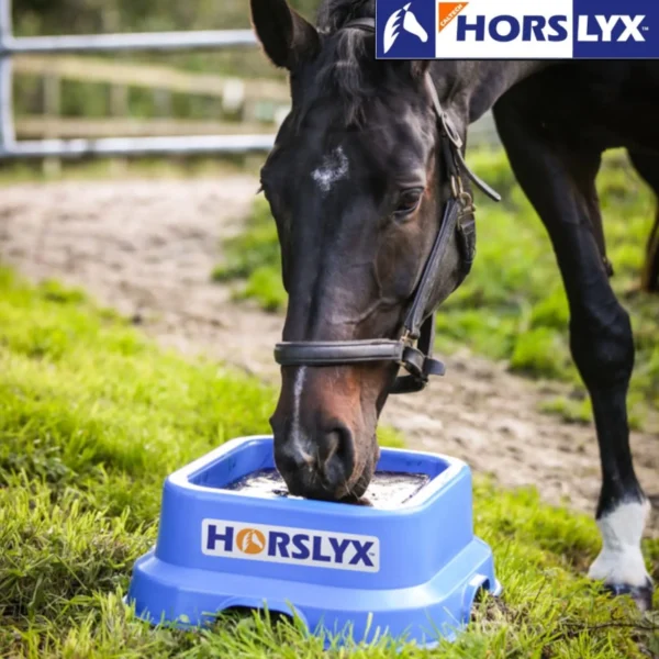 Horslyx Holder – 15 kg