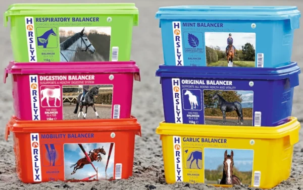 Horslyx Mint Balancer 15 kg – Vitamin & Mineral Lick