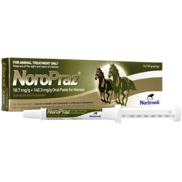 Noropraz oral paste for horses