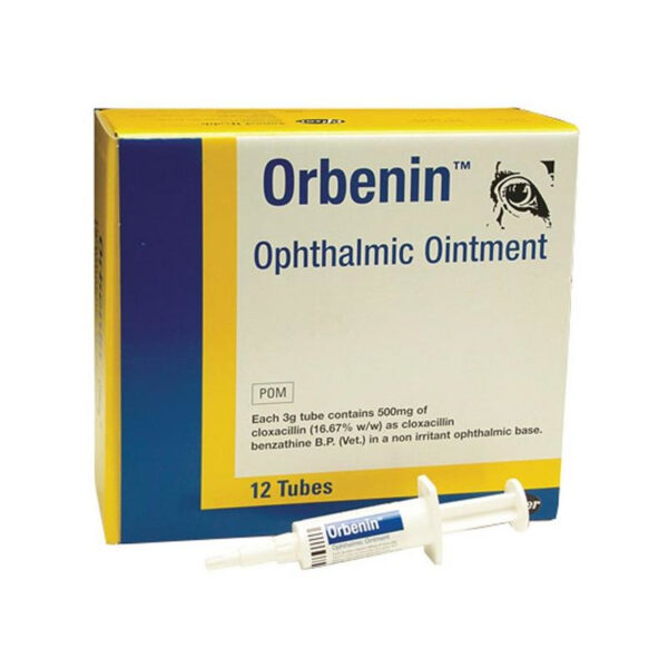 Orbenin ophthalmic ointment for dogs and cats