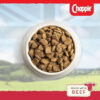 Pedigree Chappie Complete Beef Dog Food