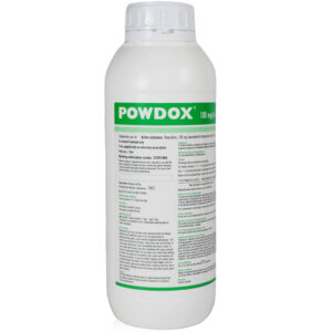 Powdox 100 mg/ml oral solution