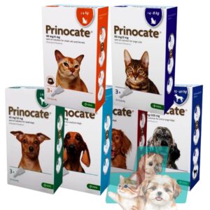 Prinocate spot-on for cats and dogs