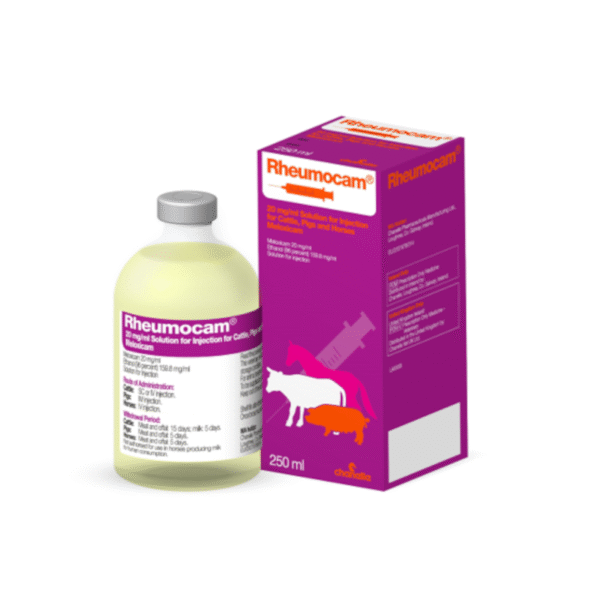 Rheumocam 20 mg/ml injection for cattle pigs and horses