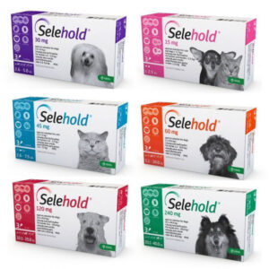 Selehold spot-on for cats and dogs