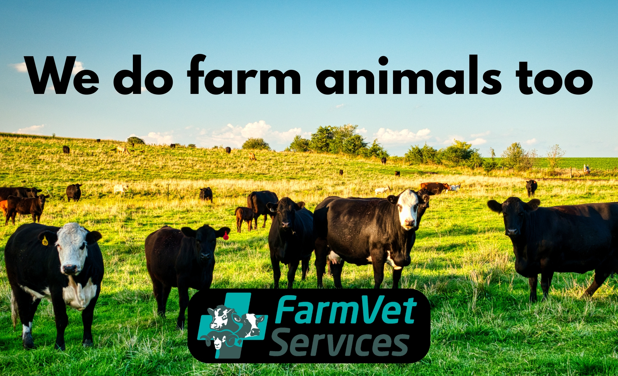 Farm Vet Services banner