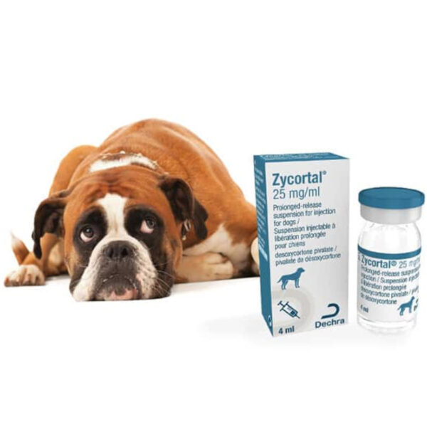 Zycortal suspension for dogs