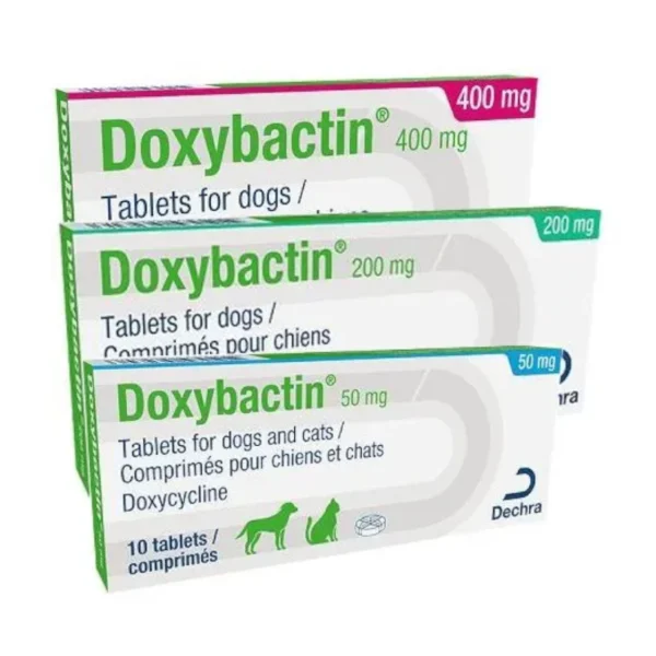 doxybactin_all Doxybactin tablets for dogs and cats