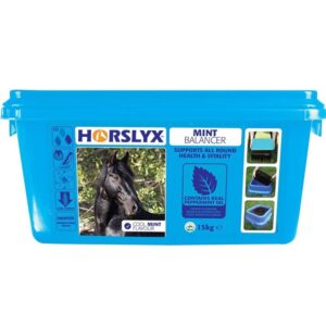 Horslyx Mint Balancer 15 kg – Vitamin & Mineral Lick