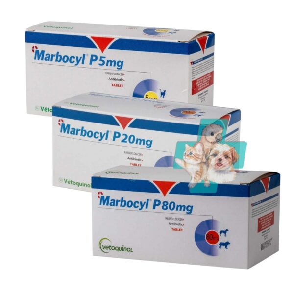 Marbocyl P tablets for dogs