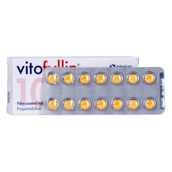 Vitofyllin tablets for dogs
