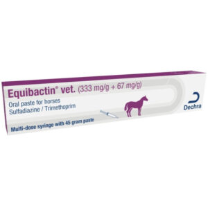 Equibactin Vet Oral Paste for Horses 45g