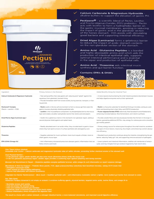 Hestevard Pectigus Advanced 3kg2 Hestevard Pectigus Advanced 3kg