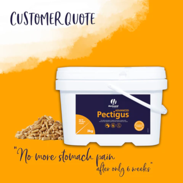 Hestevard Pectigus Advanced 3kg3 Hestevard Pectigus Advanced 3kg