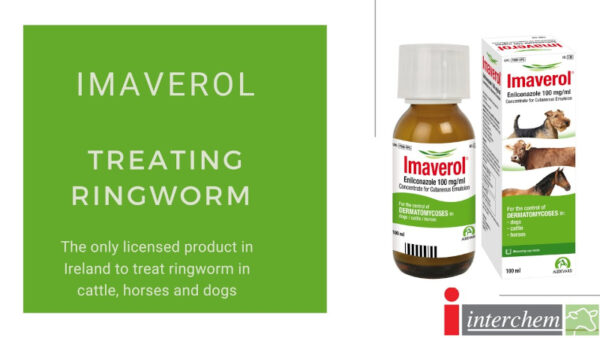 Imaverol3 Imaverol 100 mg/ml Concentrate for Cutaneous Emulsion