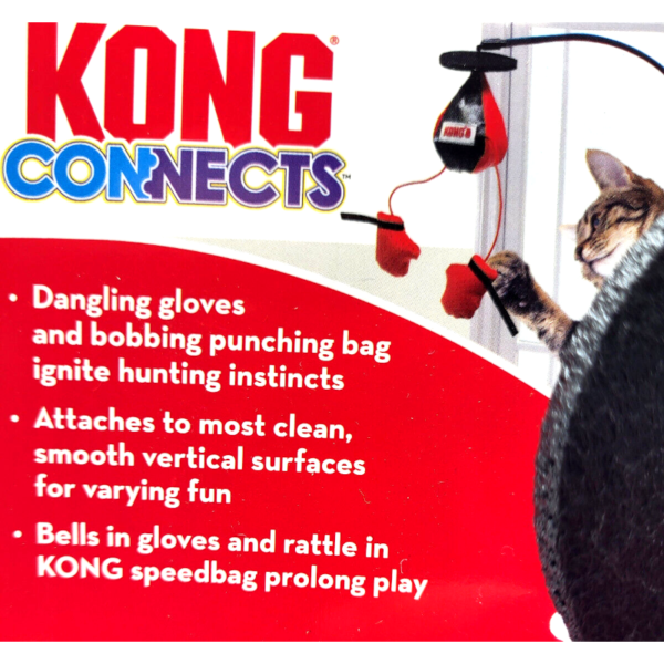 Kong Cat Connects Magnicat