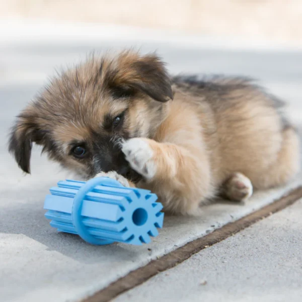 Kong Puppy Teething Stick