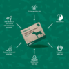 Nutracoat Dogs & Cats Capsules