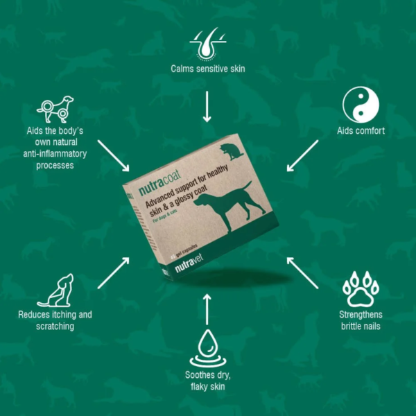 Nutracoat Dogs & Cats Capsules