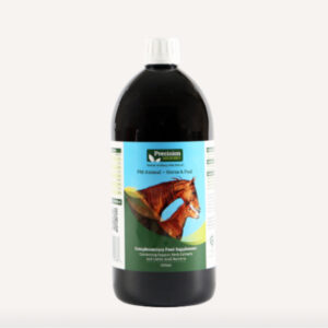 Precision Microbes Equine 1L Precision Microbes Equine