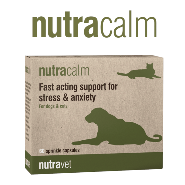 nutracalm-dg-cat-60 Nutracalm Dogs & Cats Capsules