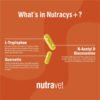 nutracys2 Nutracys+ Dogs & Cats Capsules