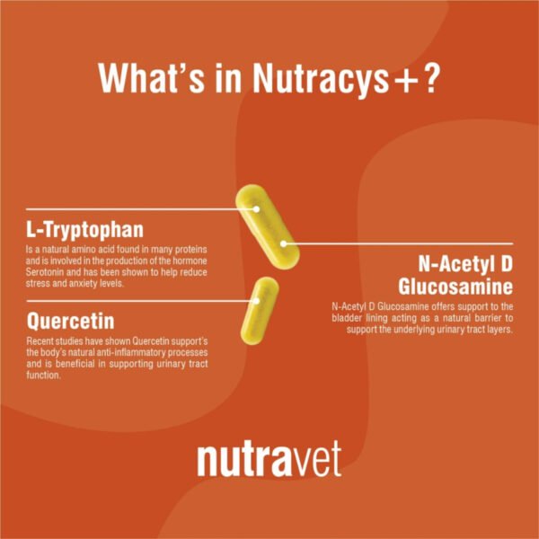 nutracys2 Nutracys+ Dogs & Cats Capsules