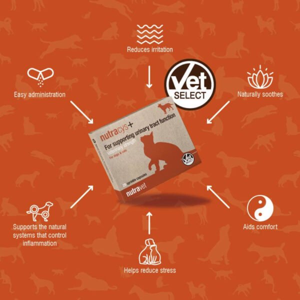 nutracys3 Nutracys+ Dogs & Cats Capsules