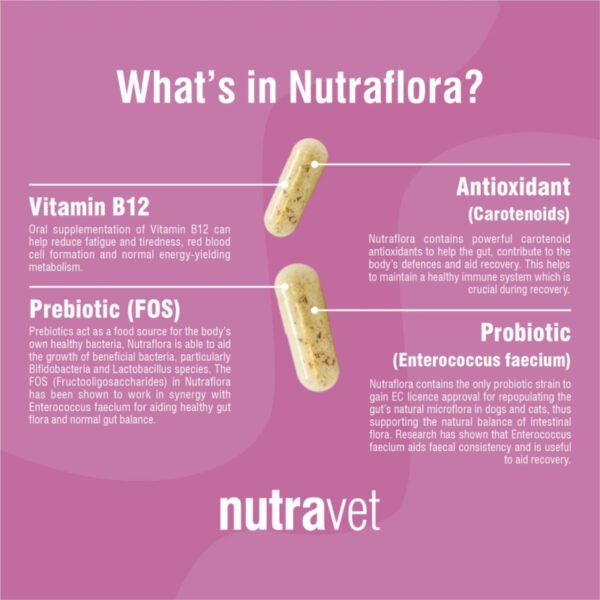 Nutraflora Dogs & Cats Capsules
