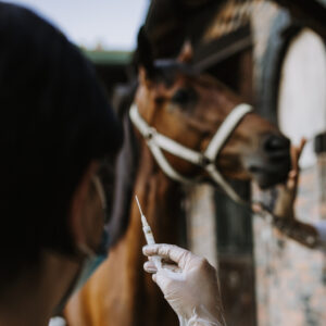 Equine Health