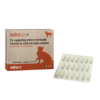 Nutracys+20 Nutracys+ Dogs & Cats Capsules