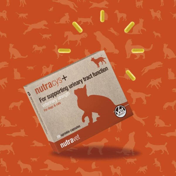 Nutracys+4 Nutracys+ Dogs & Cats Capsules