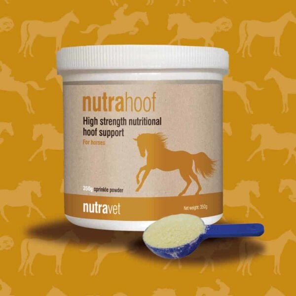 Nutrahoof Equine 350g Hoof Supplement