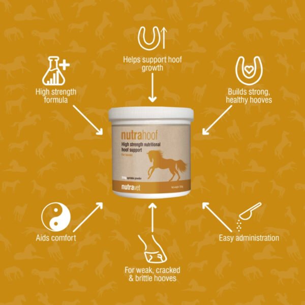 Nutrahoof Equine 350g Hoof Supplement