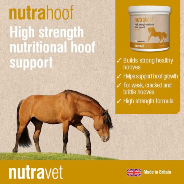 Nutrahoof Equine 350g Hoof Supplement