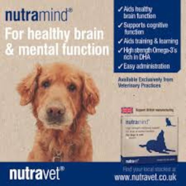 Nutramind Dogs & Cats Capsules